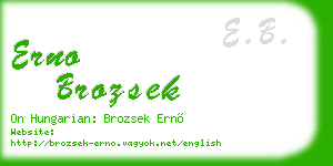 erno brozsek business card